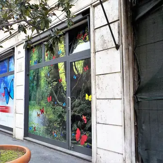 A shuttered shopfront with decorated windows